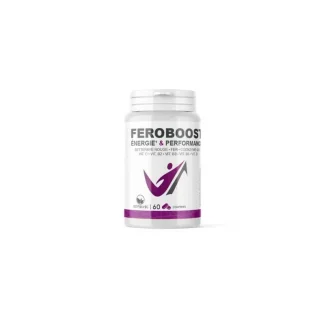 Feroboost Energie & Performance 60 comprimés