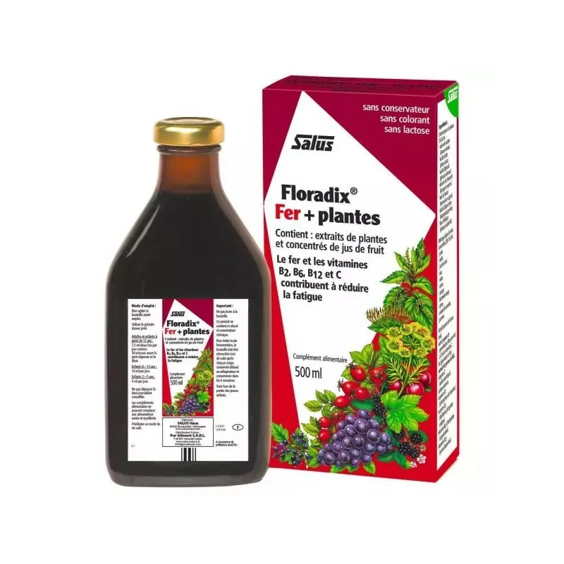 Floradix Fer + Plantes 500ml