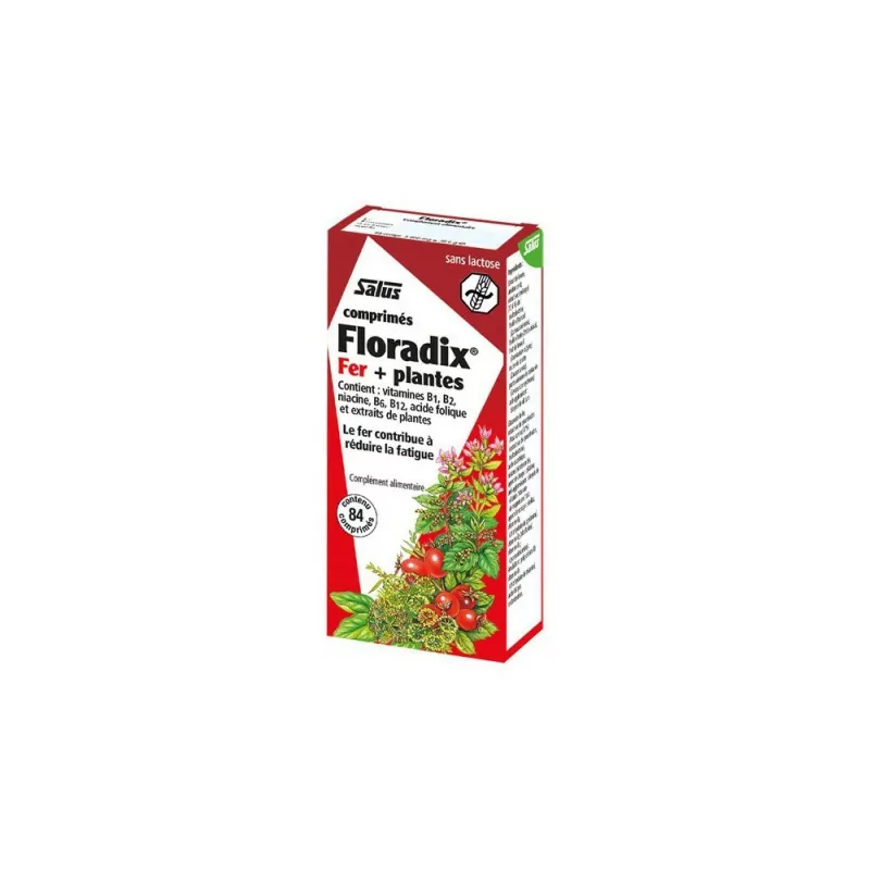 Floradix Fer + Plantes 84 comprimés