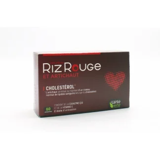 Santé Verte Levure de Riz Rouge et Artichaut Cholestérol 60 comprimés