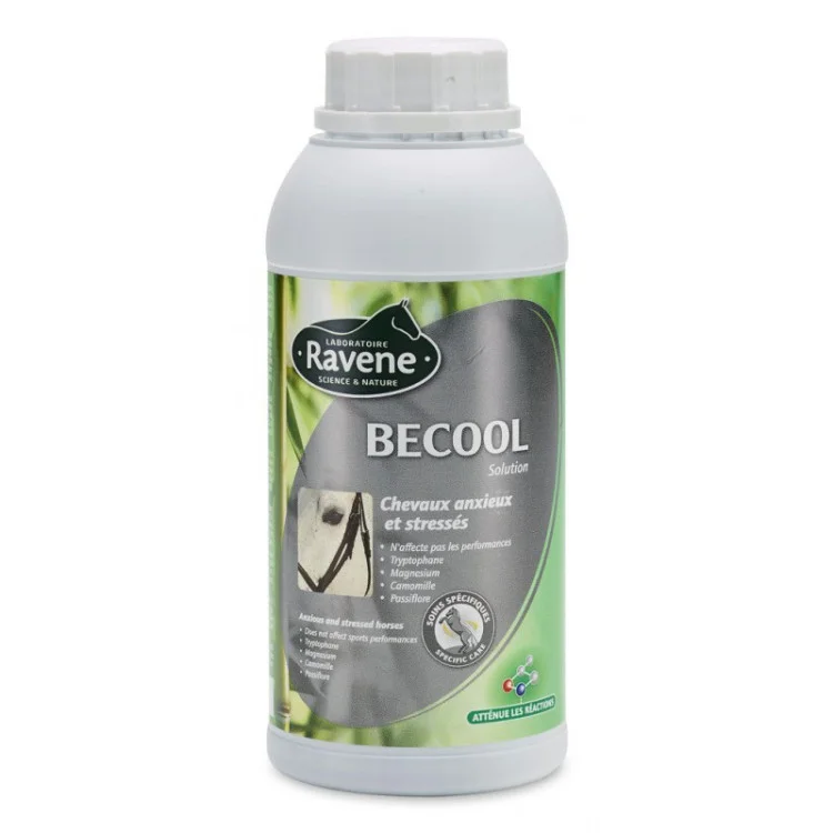 Anti-Stress Becool Ravene