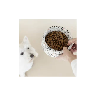 Bol Kentucky Pour Chien Pierre Terrazzo
