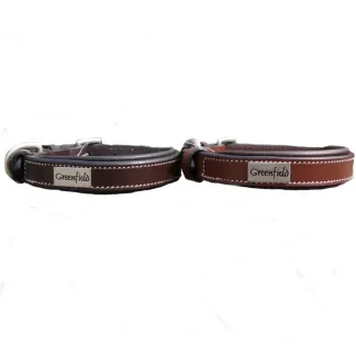 Collier Greenfield Pour Chien