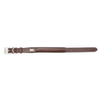 Collier Greenfield Pour Chien En Cuir