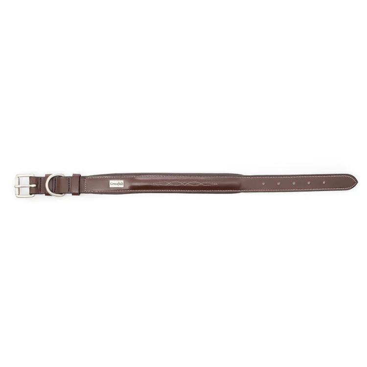 Collier Greenfield Pour Chien En Cuir