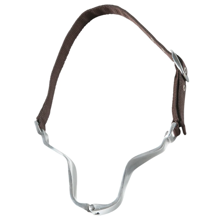 Collier Norton Anti-Tiqueur