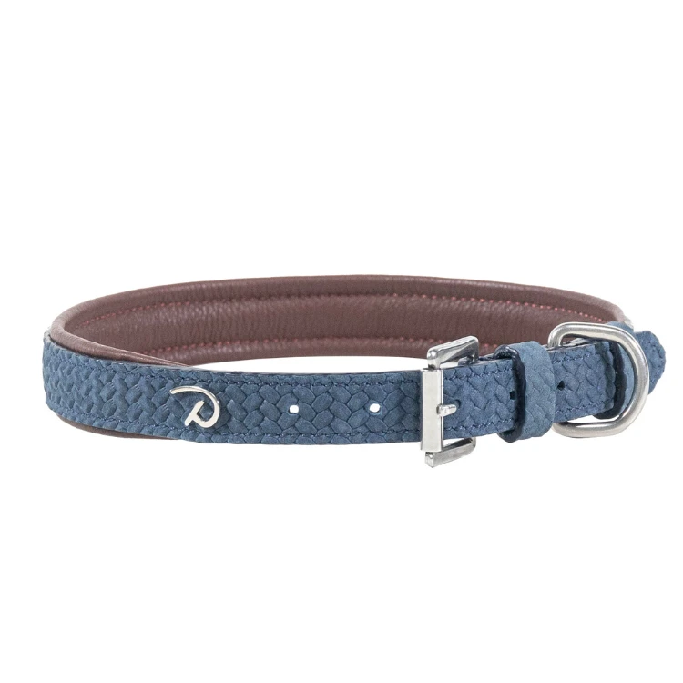 Collier Pour Chien Dy'on Basket