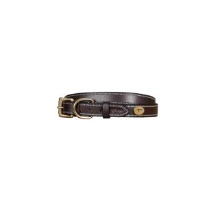 Collier Pour Chien Dy'on Cuir Plat