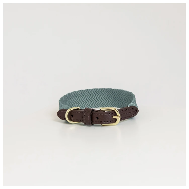Collier Pour Chien Kentucky Jacquard
