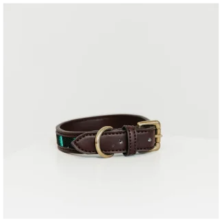 Collier Pour Chien Kentucky Perles