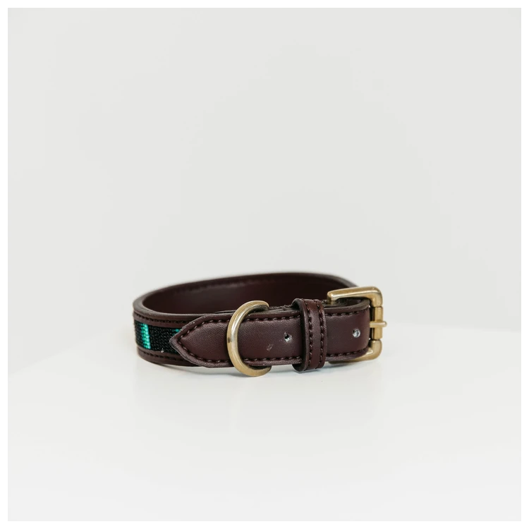 Collier Pour Chien Kentucky Perles