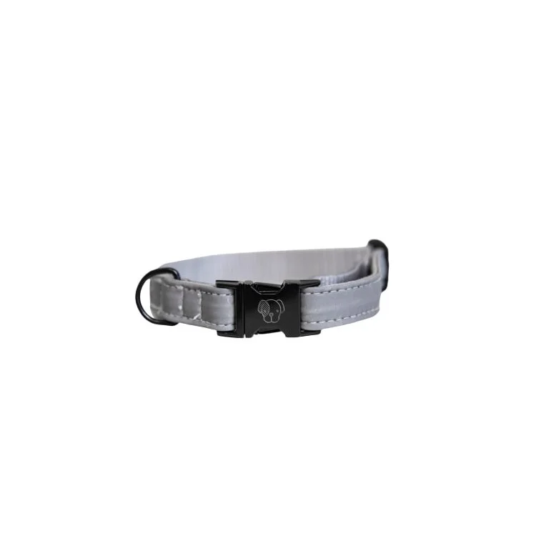 Collier pour Chien Kentucky Reflective