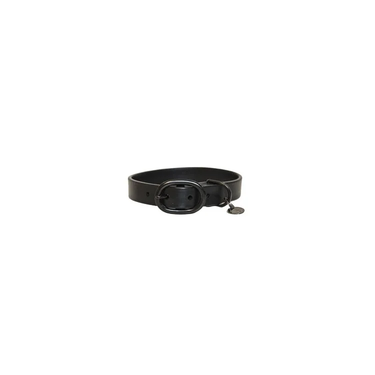 Collier Pour Chien Kentucky Soft Rubber