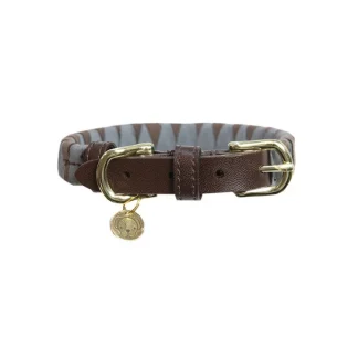 Collier pour Chien Kentucky Triangle