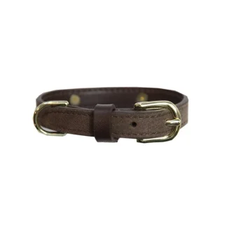 Collier pour Chien Kentucky Velvet Leather