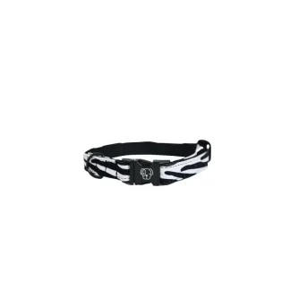 Collier pour Chien Kentucky Zébre
