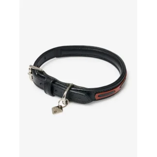 Collier Pour Chien LeMieux Cambridge