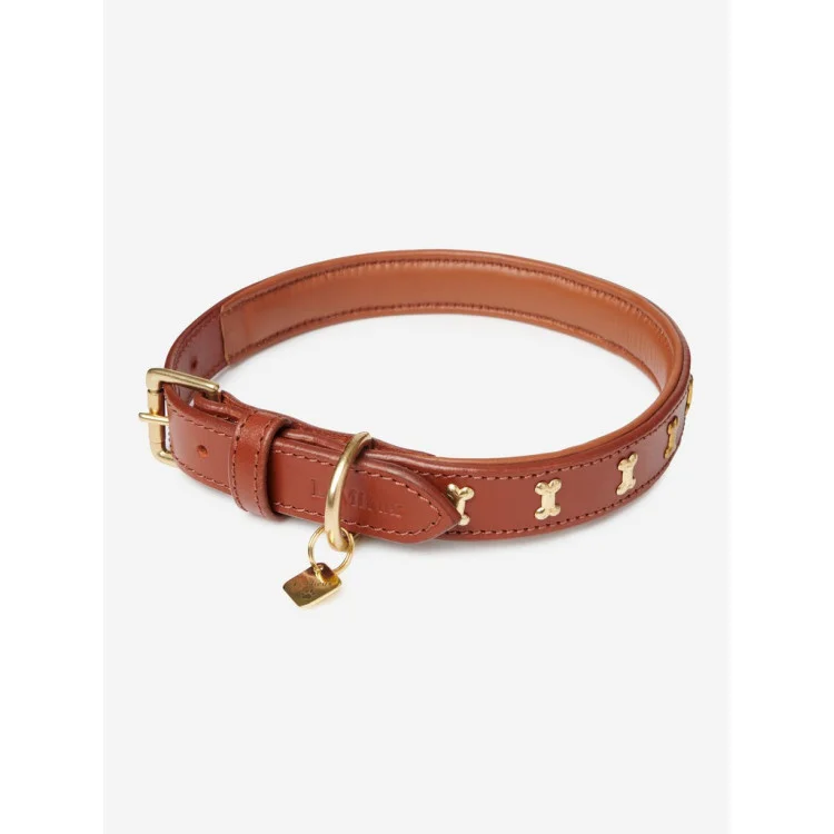 Collier Pour Chien LeMieux Chelsea