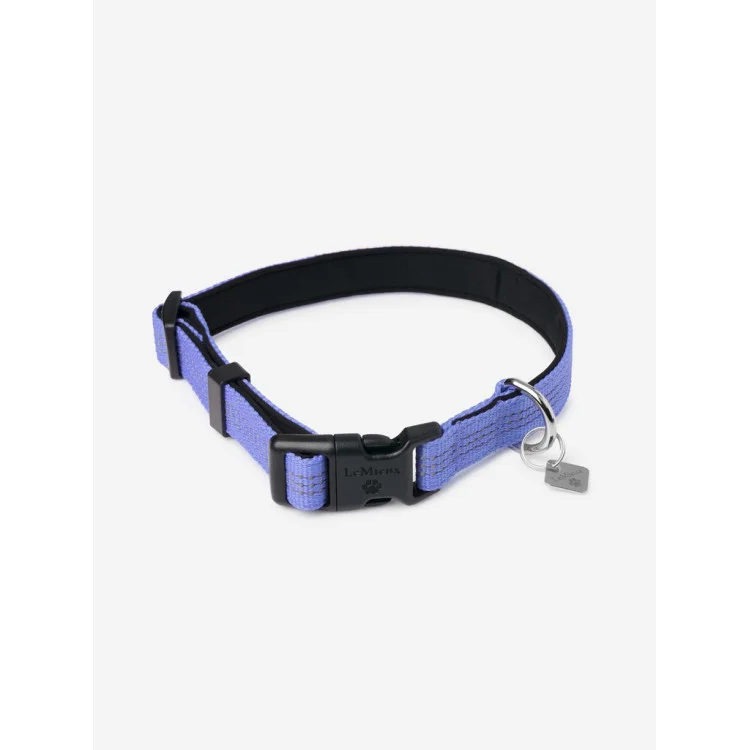 Collier Pour Chien LeMieux Henley