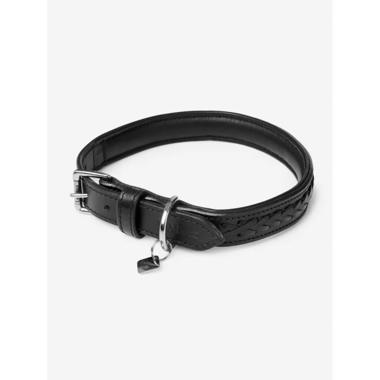 Collier Pour Chien LeMieux Oxford