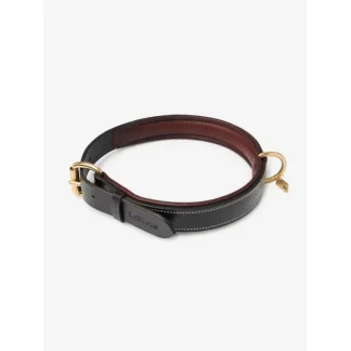 Collier Pour Chien LeMieux Windsor