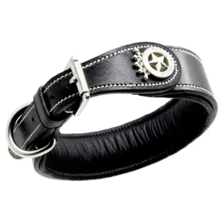 Collier Pour Chien Silver Crown Carlotta