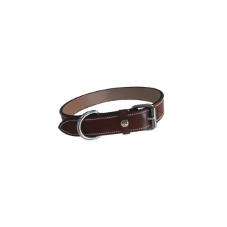 Collier Pour Chien Silver Crown Karl