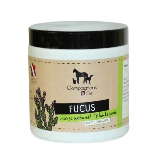 Fucus C&Cie Plante Pure