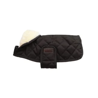 Manteau Kentucky Pour Chien - Édition Limitée 2022