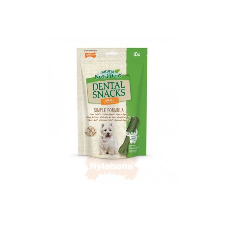 Nutri Dent Nylabone