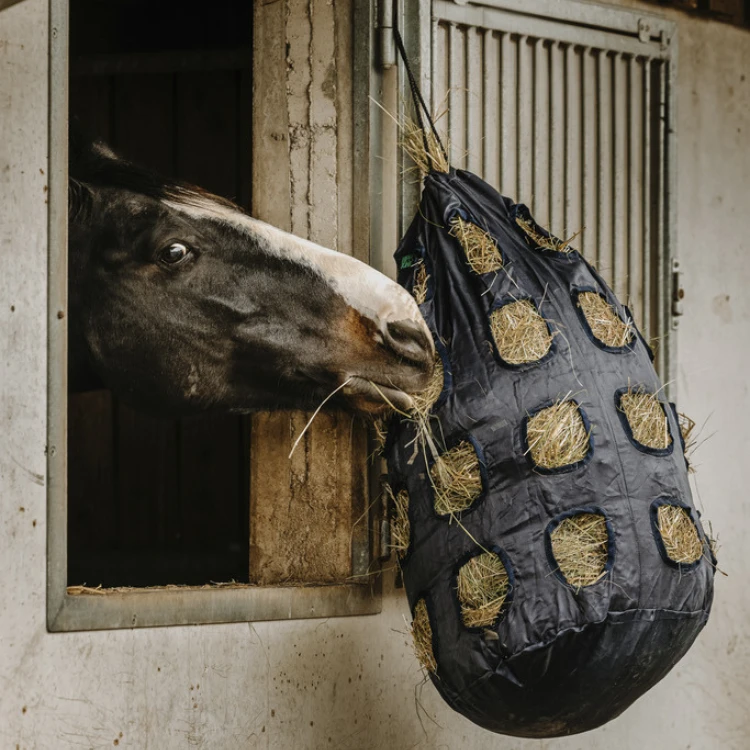 Sac À Foin Hippotonic À Trou