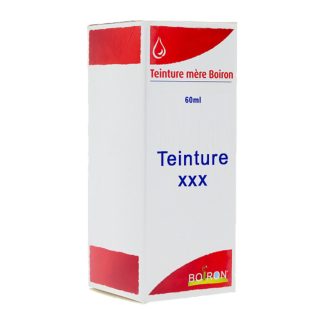VACCINIUM MYRT. - Teinture Mère - Flacon Gouttes - 125ML
