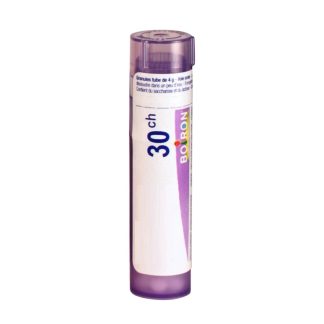 ACALYPHA INDICA 30CH - Tube